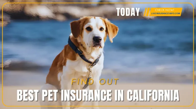 pet insurance in california